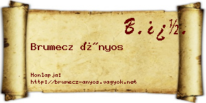 Brumecz Ányos névjegykártya